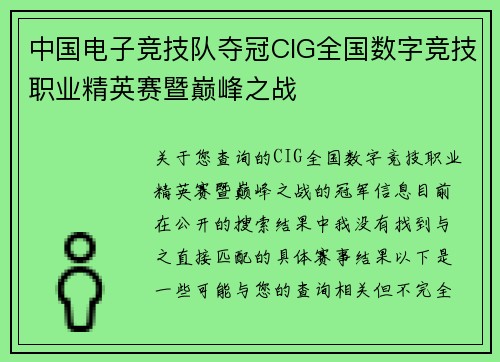 中国电子竞技队夺冠CIG全国数字竞技职业精英赛暨巅峰之战