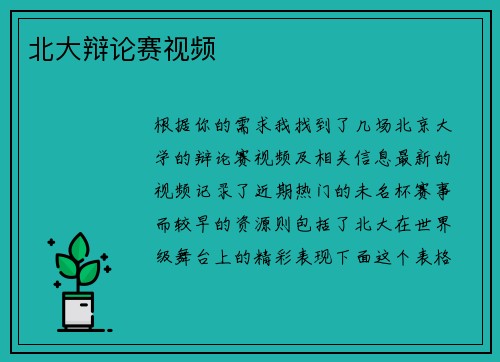 北大辩论赛视频
